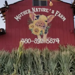 Mother Nature’s Farm Fall Festival