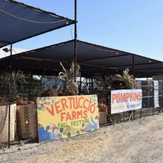 Vertuccio Farms Fall Festival